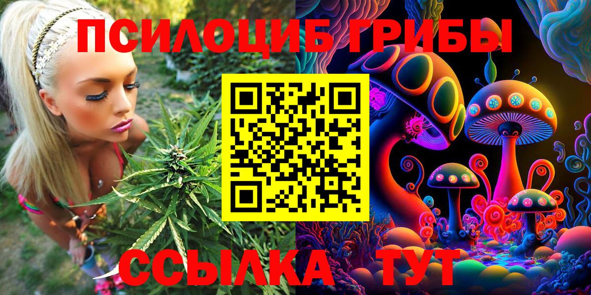 Галлюциногенные грибы Magic Shrooms Ижевск