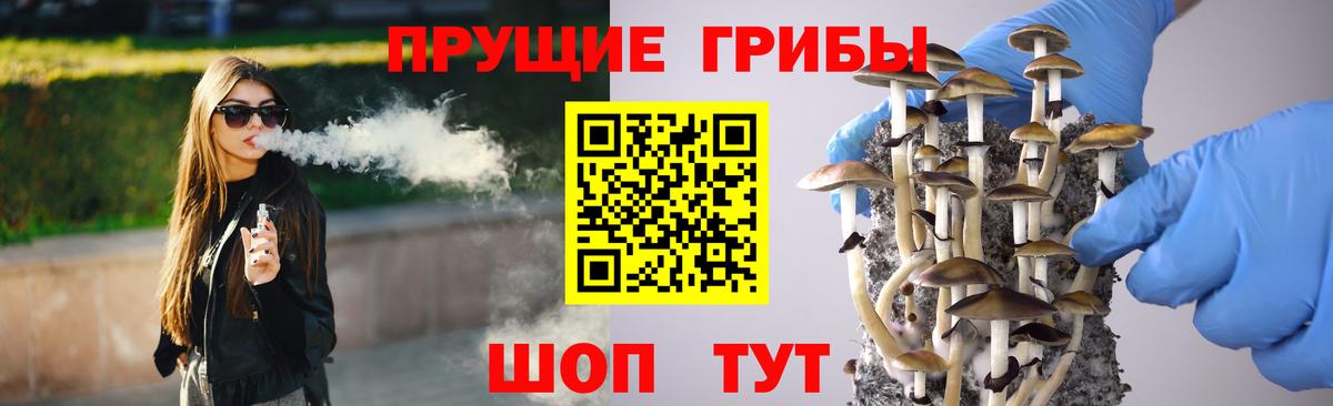 Ижевск  Псилоцибиновые грибы мицелий  Галлюциногенные грибы MAGIC MUSHROOMS  Вход с VPN 