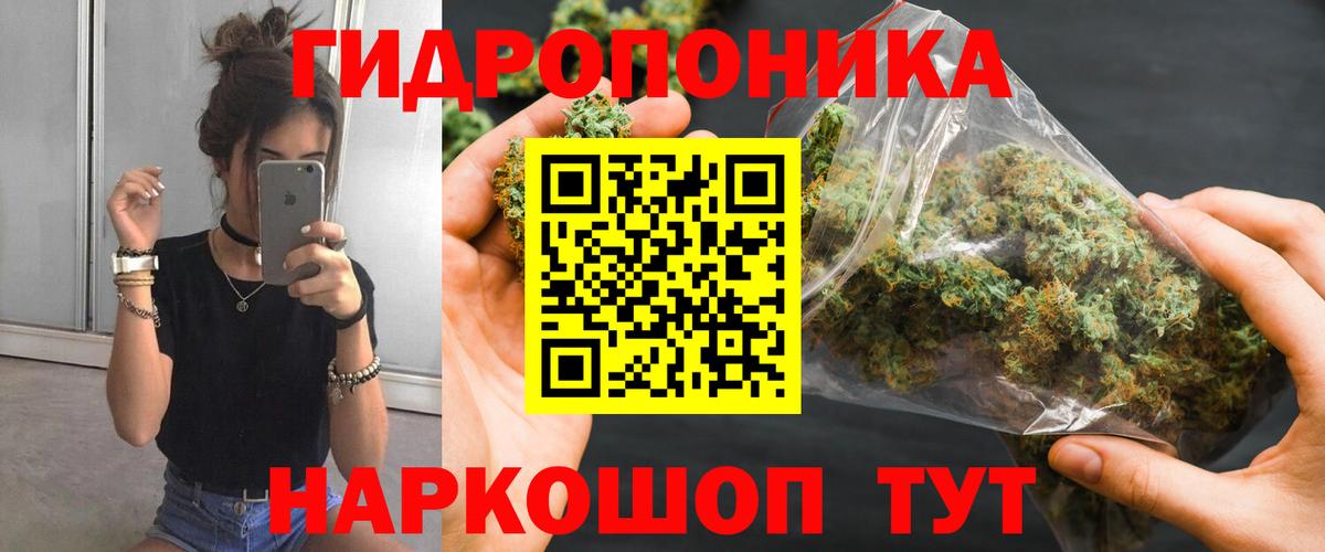 Ижевск  Конопля White Widow  Бошки Шишки White Widow  Каннабис гибрид  Вход с VPN 